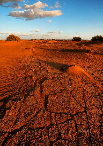 Sahara pouštní krajina — Stock fotografie