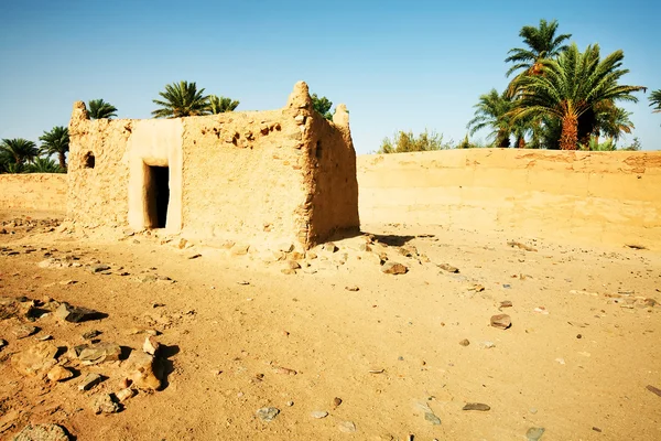 Sahara öknen landskap — Stockfoto