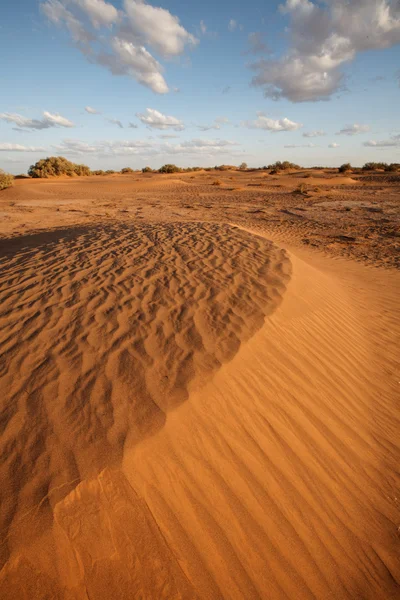 Sahara Desert landscape, Afrique — Photo