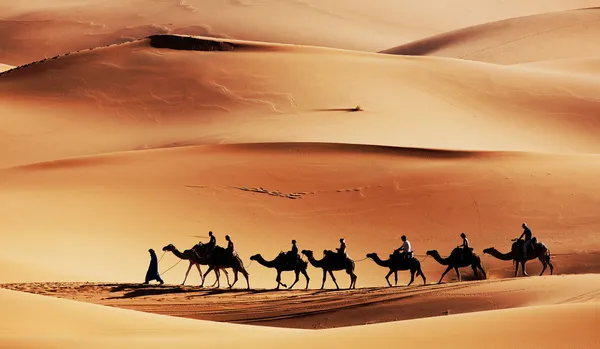 Caravana del desierto Imágenes de stock libres de derechos