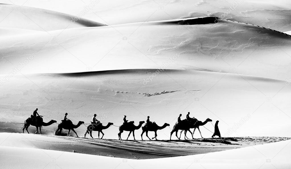 Caravan in Sahara Desert, Africa