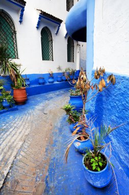mimari detay: chefchaouen, morocco, Afrika