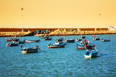 asilah Limanı, Fas, Afrika