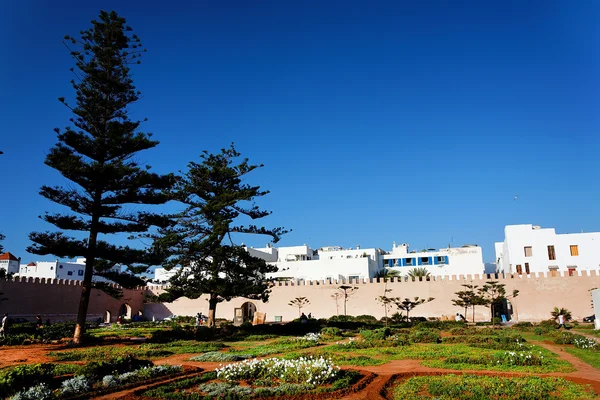 Essaouira fästning, Marocko, Afrika — Stockfoto