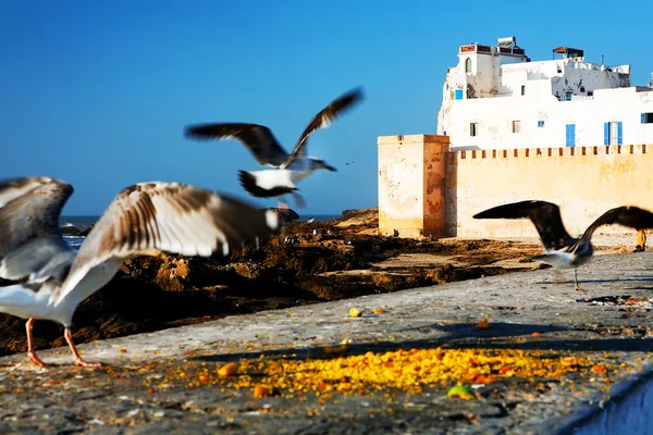 Fortezza di Essaouira, Marocco, Africa — Foto Stock
