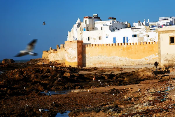 Pevnost Essaouira, Maroko, Afrika — Stock fotografie