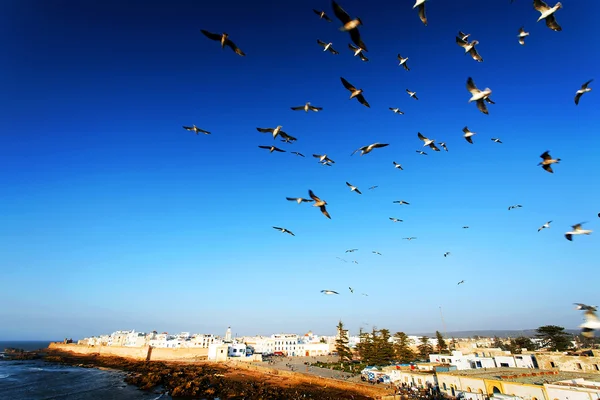 Pevnost Essaouira, Maroko, Afrika — Stock fotografie