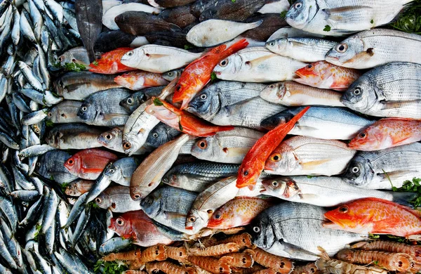 モロッコの市場で新鮮な海の食べ物 — ストック写真