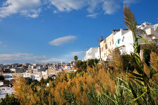 Vecchia medina di Tangeri, suite, africa — Foto Stock