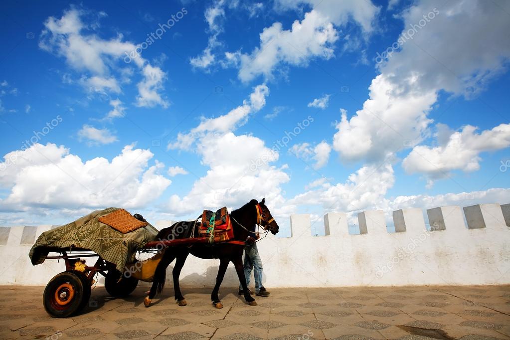 Cart pulled by horse in Asilah old medina, Morocco, Africa
