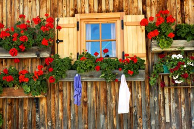 Avusturyalı mimari detay