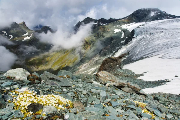 Ледник Тайшниц, Гроссглокнер, Австрия, Европа — стоковое фото