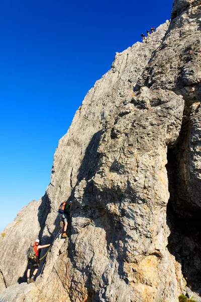 Climbing alpinists on Koenigsjodler route, Austria — Stock Photo, Image