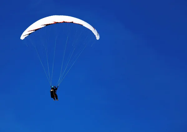 Paragliding nad Švýcarské Alpy — Stock fotografie
