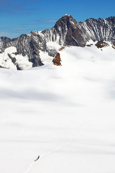 Team av alpinister korsar en glaciär — Stockfoto