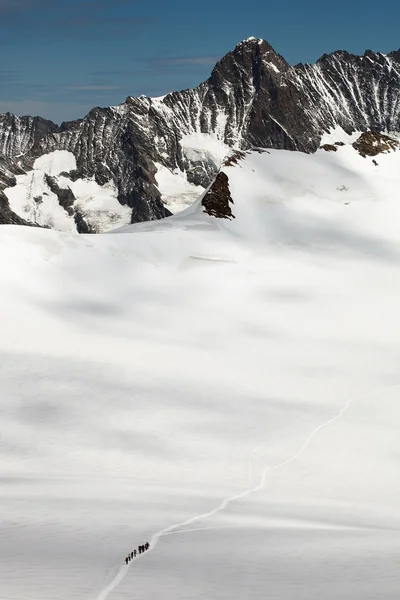 氷河を通過するアルピニストのチーム — ストック写真