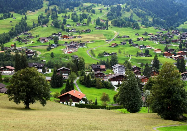 Grindelwald dorp in het berner oberland, Zwitserland — Stockfoto