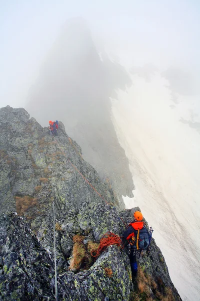 Climbing alpinists — Stock Photo, Image