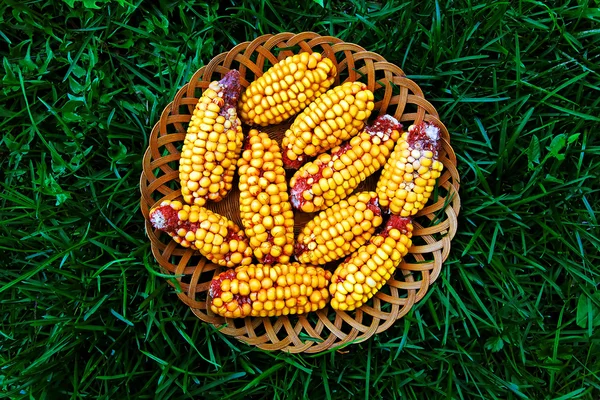 Basket with corn — Stock Photo, Image