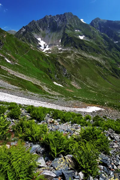 Transilvanya Alpleri dağlar peyzaj — Stok fotoğraf