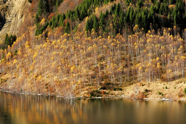 Herbstlandschaft im Retesat-Gebirge, Rumänien — Stockfoto