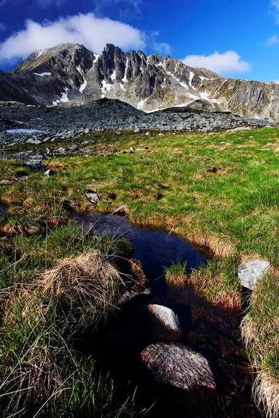 Осенний пейзаж в горах Ретезат, Румыния — стоковое фото