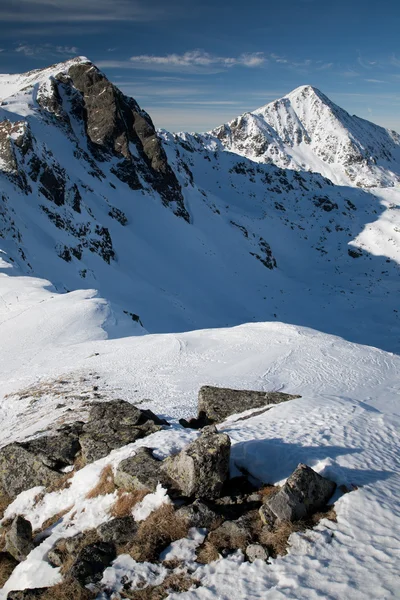 Winterlandschaft im Nationalpark retezat, Rumänien — Stockfoto