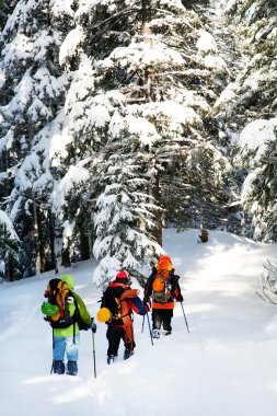 alpinists bir dağ orman yoluyla yaklaşıyor