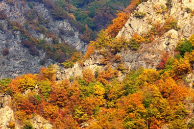 bucegi Dağları'nda dağın sonbahar manzara