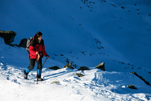 Alpine winter treking — Stock Photo, Image