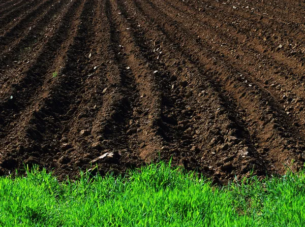 Gepflügtes Feld — Stockfoto