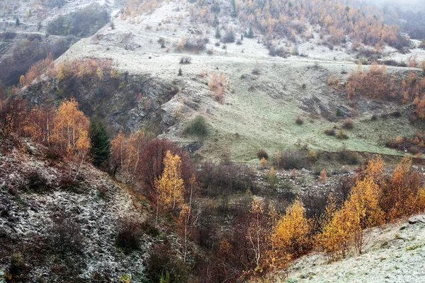 Pozdní podzimní Lesní krajina — Stock fotografie