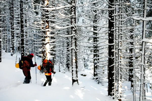 Alpinists approaching a mountain through a forest — Stock Photo, Image