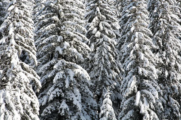 Зимний альпийский пейзаж — стоковое фото