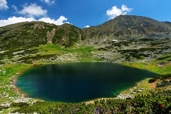 Alpine lake in National Park Retezat — Stock Photo, Image