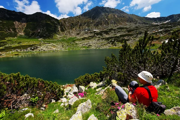 Fotógrafo de natureza no trabalho — Fotografia de Stock