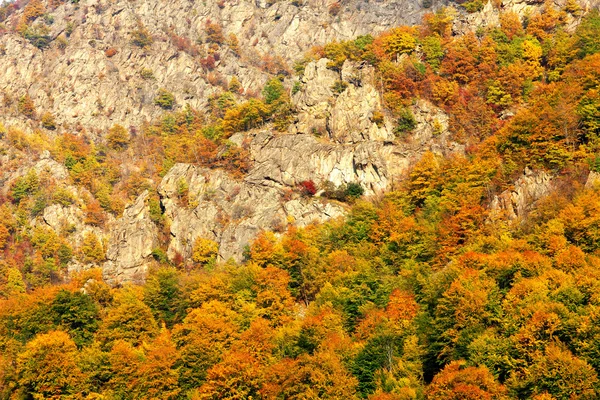 Höstens bergslandskap i Bucegibergen — Stockfoto