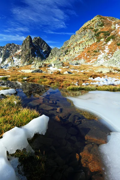 Alpine Landschaft im Nationalpark retezat, Rumänien — Stockfoto