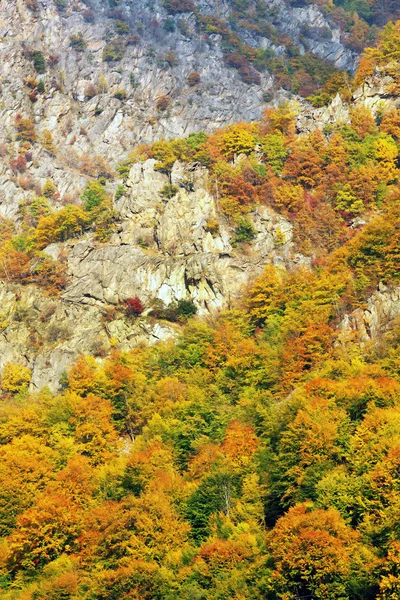 Gebirgslandschaft im Herbst in den Bucegi-Bergen — Stockfoto