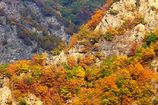 Montanha paisagem outono em Bucegi Montanhas — Fotografia de Stock