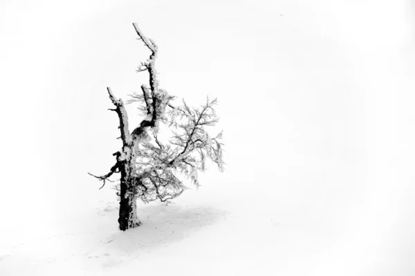 Paisaje invernal abstracto en las montañas de los Cárpatos —  Fotos de Stock