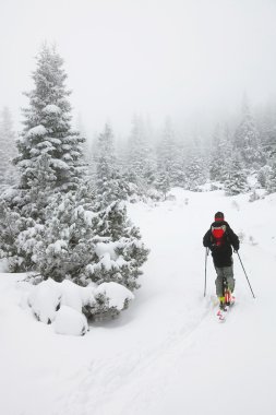 Tur kayağı kış koşullarında