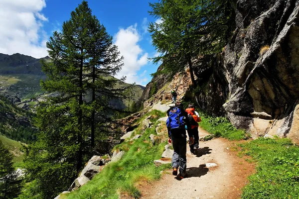 Os escaladores remontam ao Grande Paradiso — Fotografia de Stock