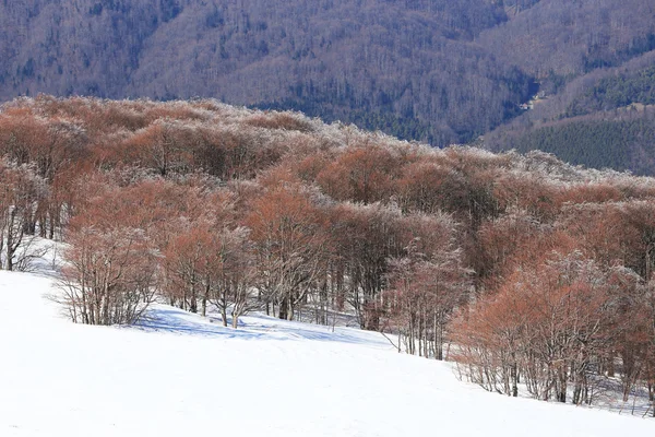 Alpská krajina — Stock fotografie