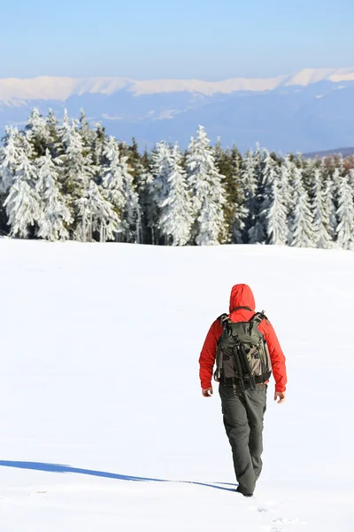 自然写真家の山でトレッキング — ストック写真