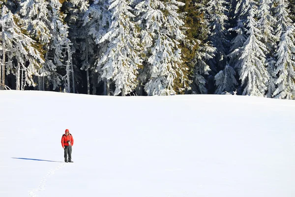 Paesaggio alpino invernale — Foto Stock