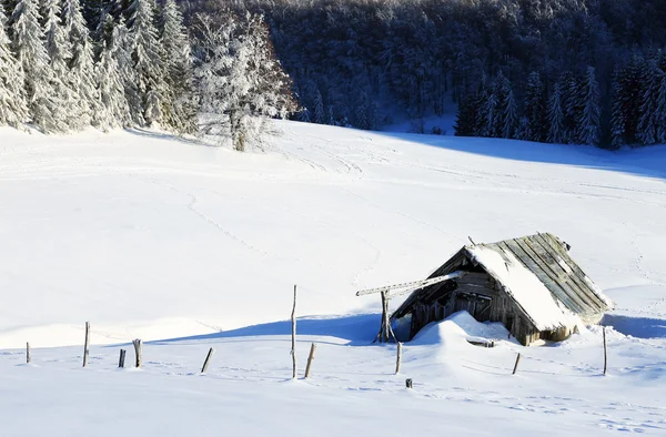 Abstraktní Zimní krajina v horách Karpat — Stock fotografie