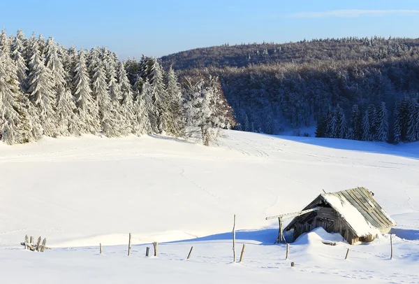 Abstraktní Zimní krajina v horách Karpat — Stock fotografie