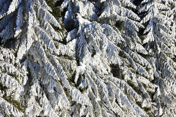 Paesaggio alpino invernale — Foto Stock