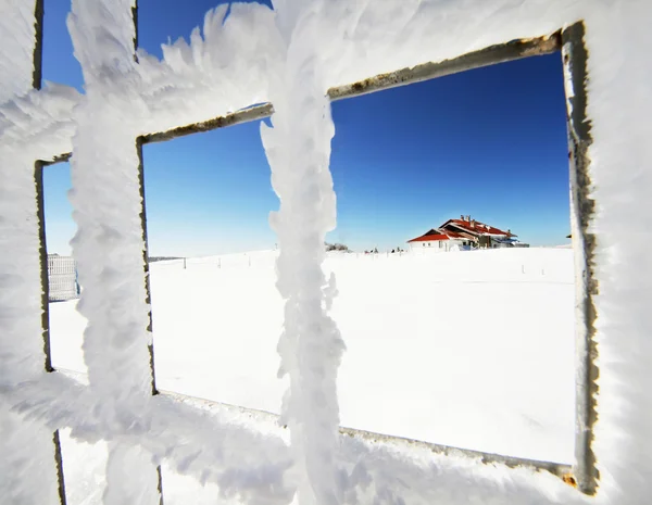 Abstraktní Zimní krajina v horách Karpat — Stock fotografie